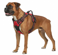ComfortFit Dog Harness