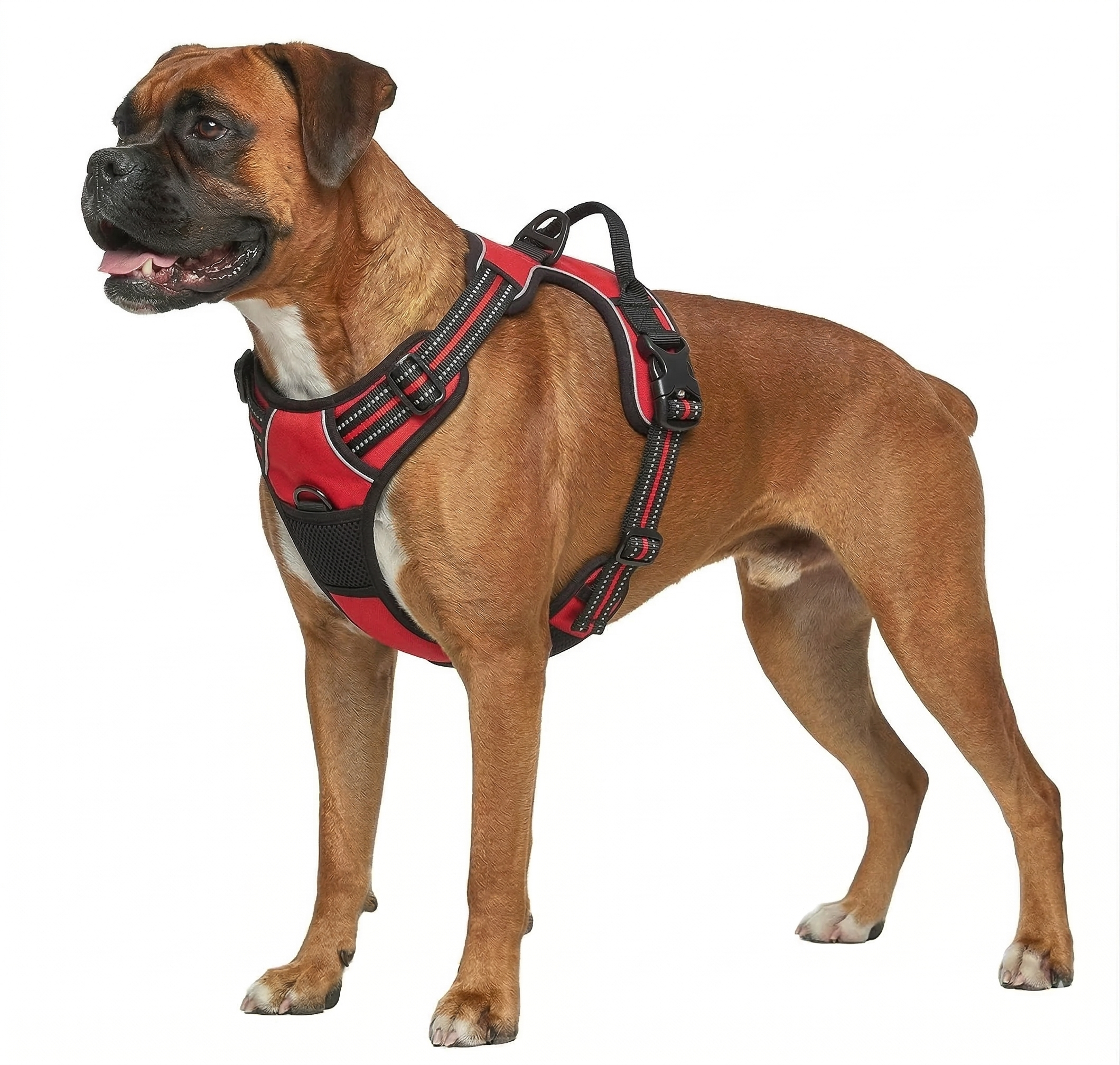 ComfortFit Dog Harness