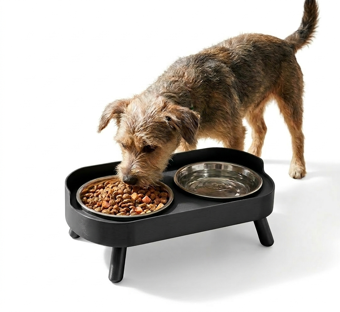 Modern Ergonomic Double Pet Bowl - Stainless Steel Elevated Feeding Station