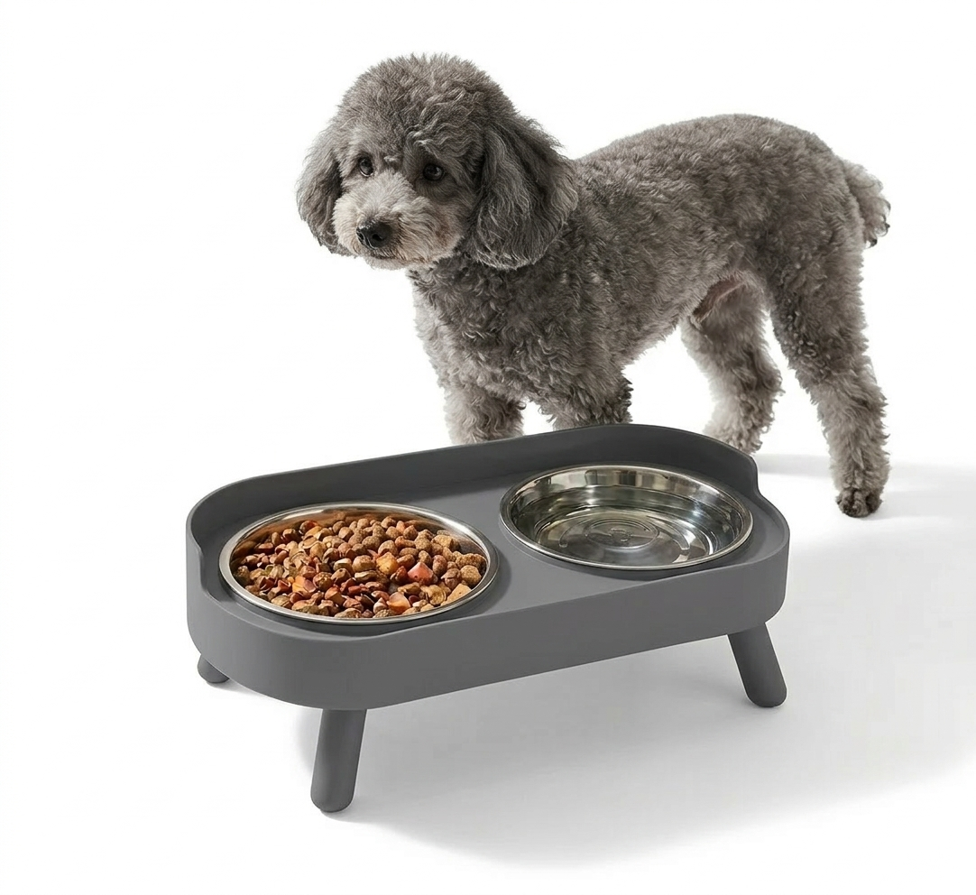 Modern Ergonomic Double Pet Bowl - Stainless Steel Elevated Feeding Station