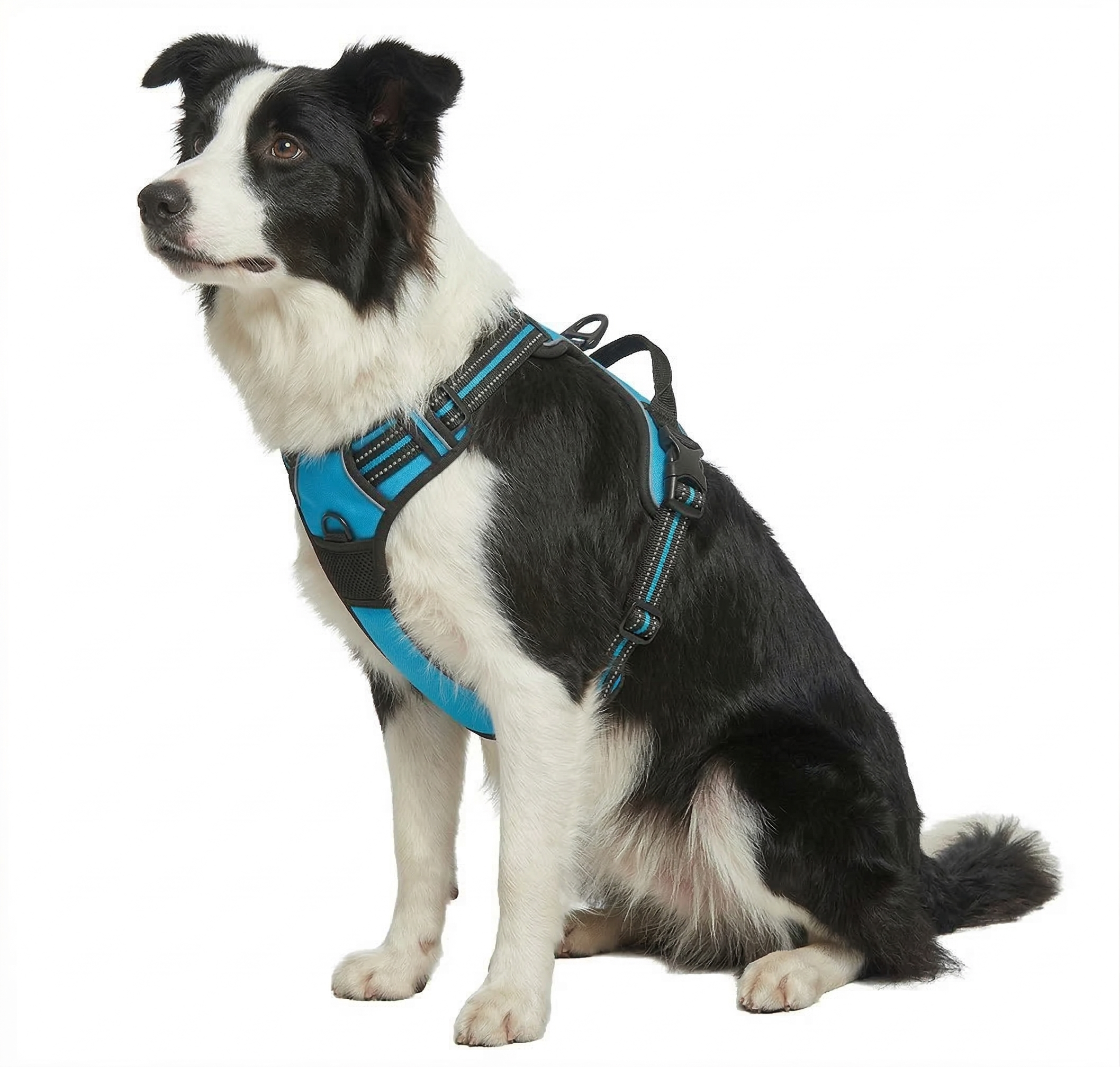 ComfortFit Dog Harness