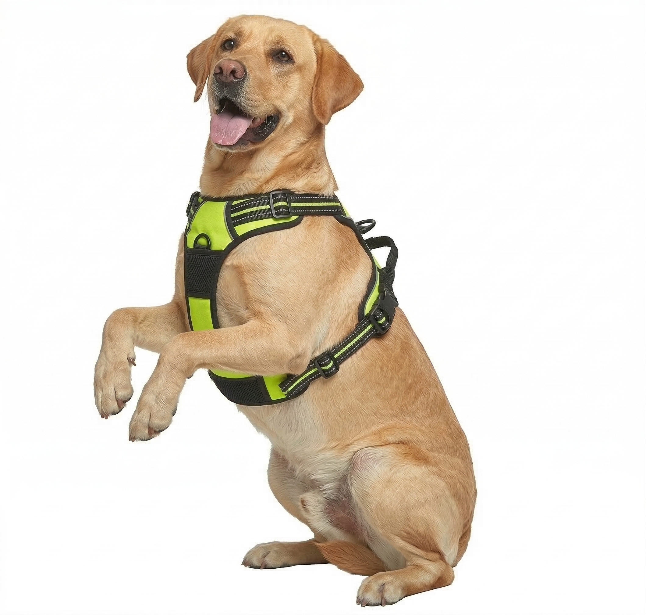 ComfortFit Dog Harness