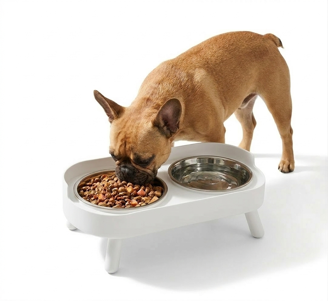 Modern Ergonomic Double Pet Bowl - Stainless Steel Elevated Feeding Station